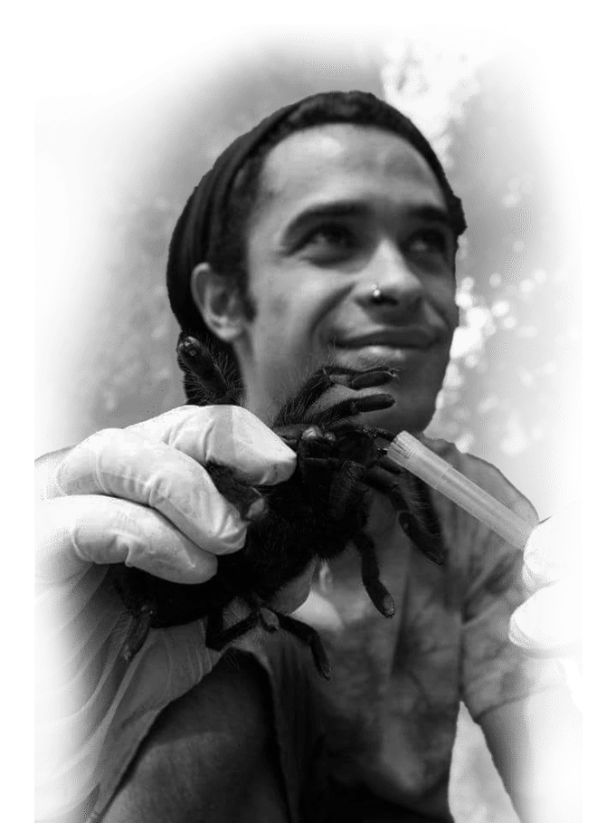 Diego Arellano